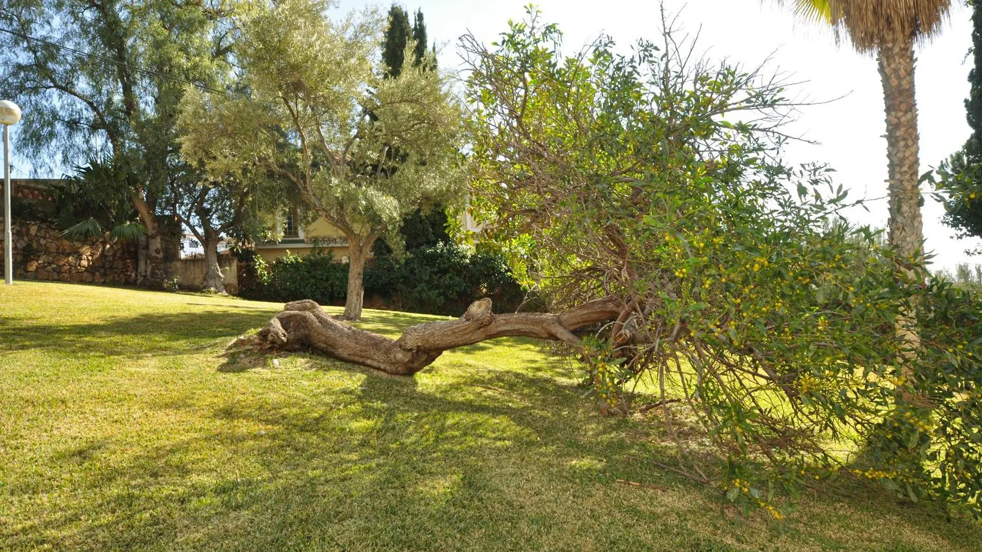 Bajo La Cala Del Moral Apartment 0*,